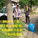 西周回道路　街路樹下草刈り実施