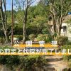 公園管理（天神池公園）樹木の剪定と伐採。