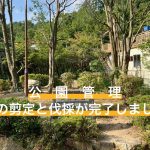 公園管理（天神池公園）樹木の剪定と伐採。