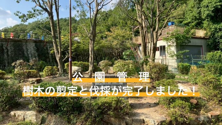 公園管理(天神池公園)樹木の剪定と伐採。
